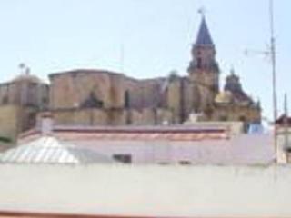 Nuevo